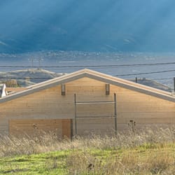 Проект Лешница