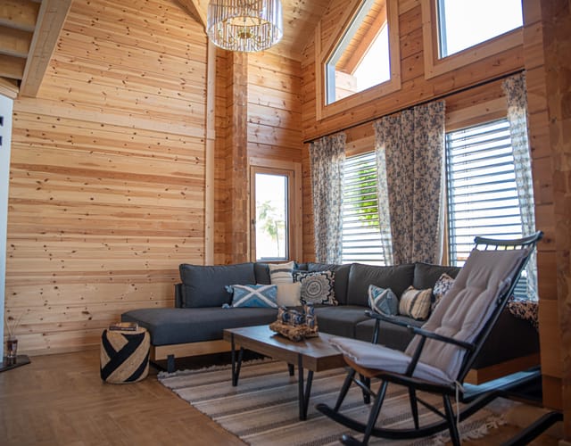 Проект Синеморец