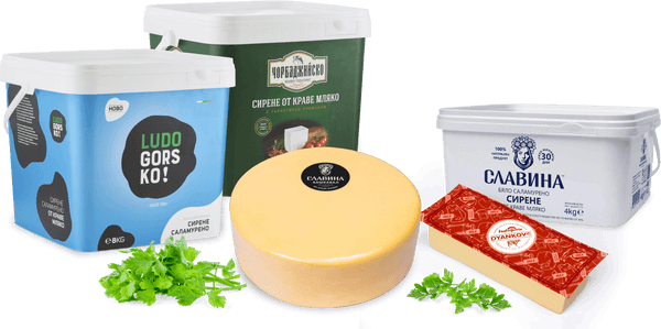 cow's milk products