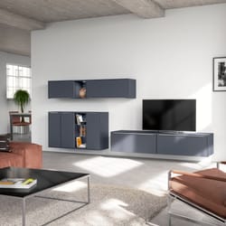 всекидневна мебели