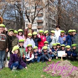 Да посадим дърво