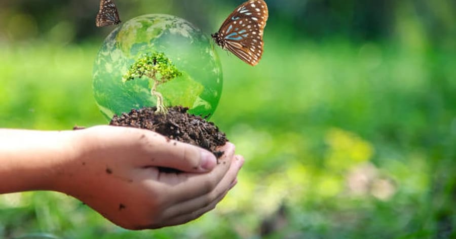 „ИНФОРМАЦИОННИ КАМПАНИИ - БИОЛОГИЧНО РАЗНООБРАЗИЕ” по Програма 