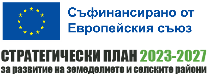 Местна Инициативна Група Девин - Смолян