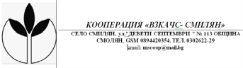 Alternative Text