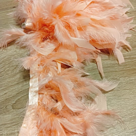 КОКОШИ ПЕРА 05