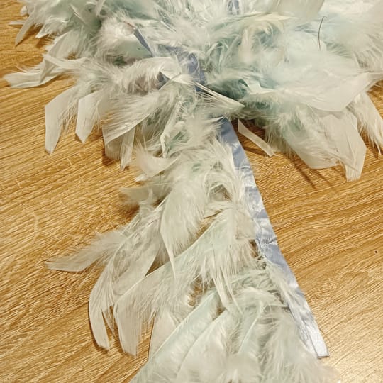 КОКОШИ ПЕРА 07