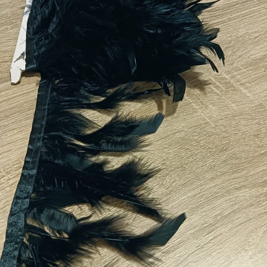 КОКОШИ ПЕРА 09