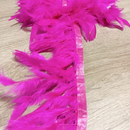 КОКОШИ ПЕРА 08