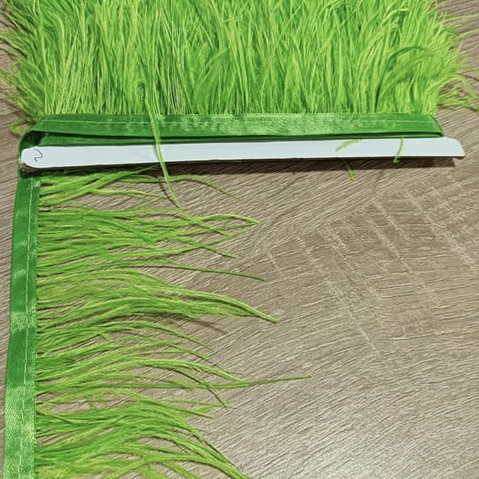 ЩРАУСОВИ ПЕРА 12