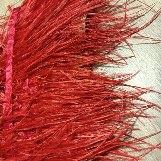 ЩРАУСОВИ ПЕРА 13