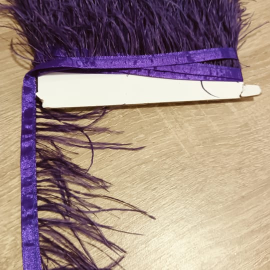 ЩРАУСОВИ ПЕРА / 11