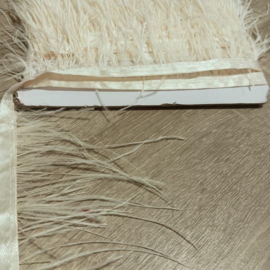 ЩРАУСОВИ ПЕРА 15