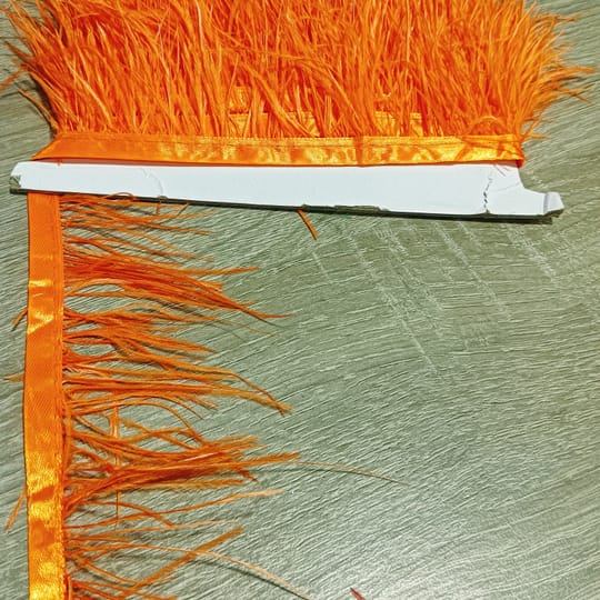 ЩРАУСОВИ ПЕРА 16