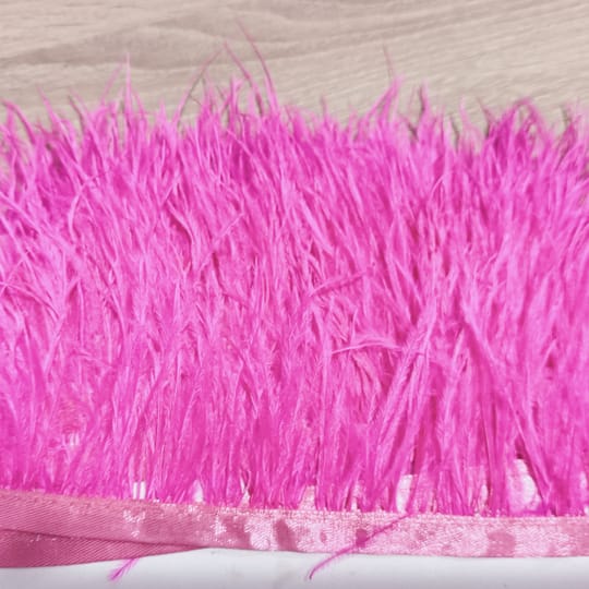 ЩРАУСОВИ ПЕРА 19