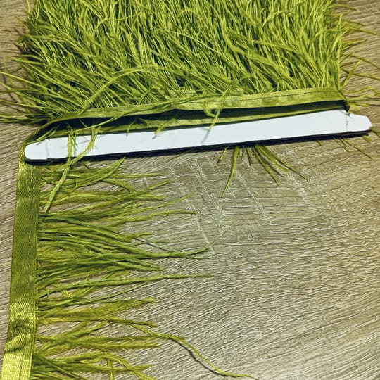 ЩРАУСОВИ ПЕРА 20