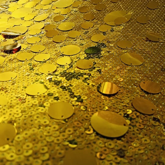 Едри Пайети / 07