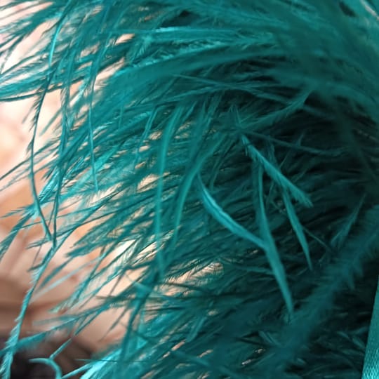 ЩРАУСОВИ ПЕРА 18