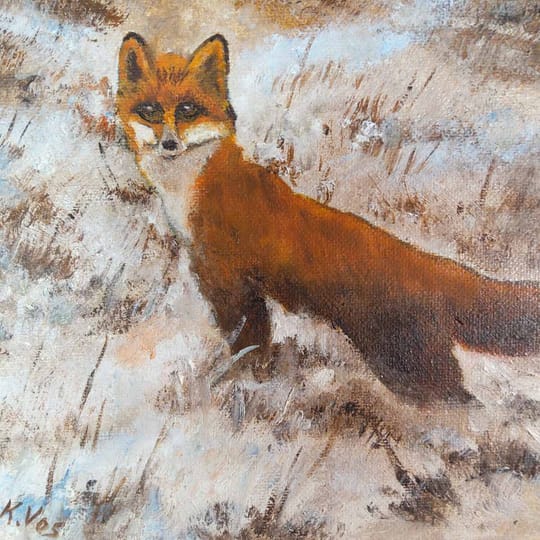 зимен пейзаж с лисица