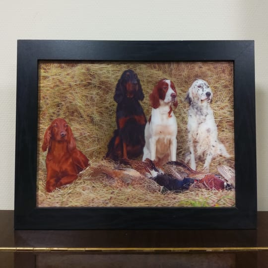 Картина/фотография с Ловни мотиви и 3D ефект