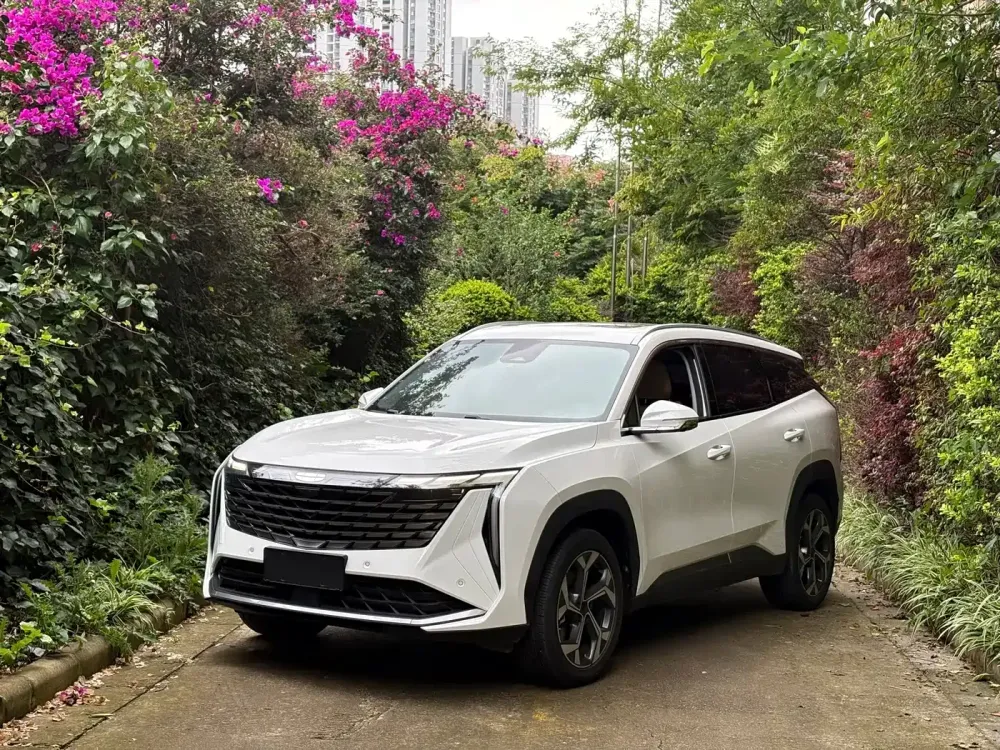 2023 GEELY STARRAY 1.5 TURBO DCT LUXURY