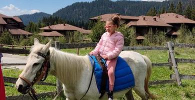Ден на българския спорт