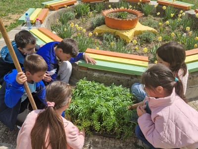 Ден на земята 2025г.