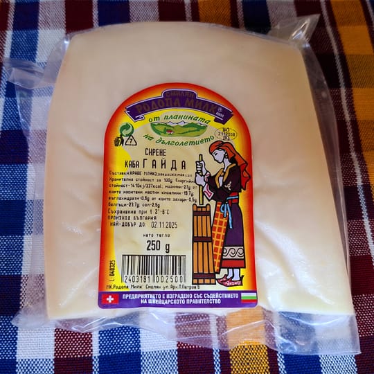 Сирене Гайда