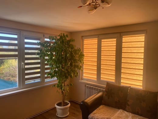 щори ден и нощ text