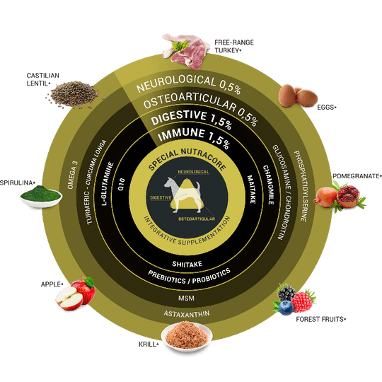 Безглутенова суха храна за кучета с 82% съдържание на животински протеин ПУЙКА