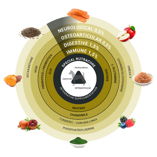 Храна за кучета СУПЕР ПРЕМИУМ КЛАС OOSKELS Сьомга 10кг.