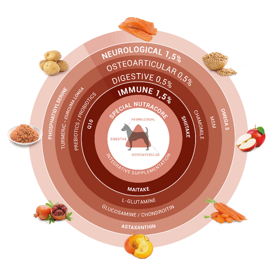 Храна за ПОДРСТВАЩИ кучета СУПЕР ПРЕМИУМ КЛАС OOSKELS Сьомга 3кг.