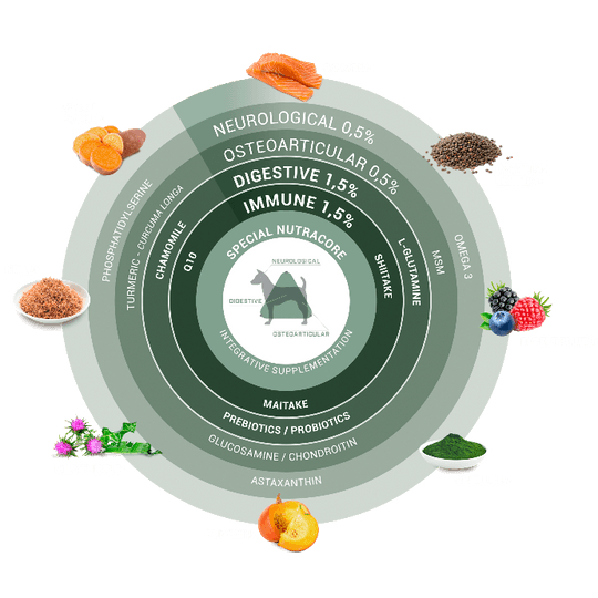 Храна за ДРЕБНИ ПОРОДИ кучета СУПЕР ПРЕМИУМ КЛАС OOSKELS Сьомга 3кг.
