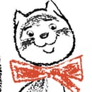 Котки