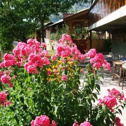 двор с цветя