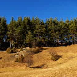 пътя към Орлово око