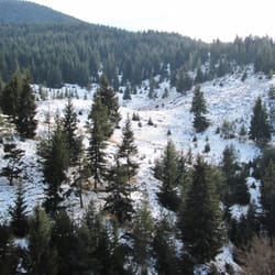 зимен пейзаж