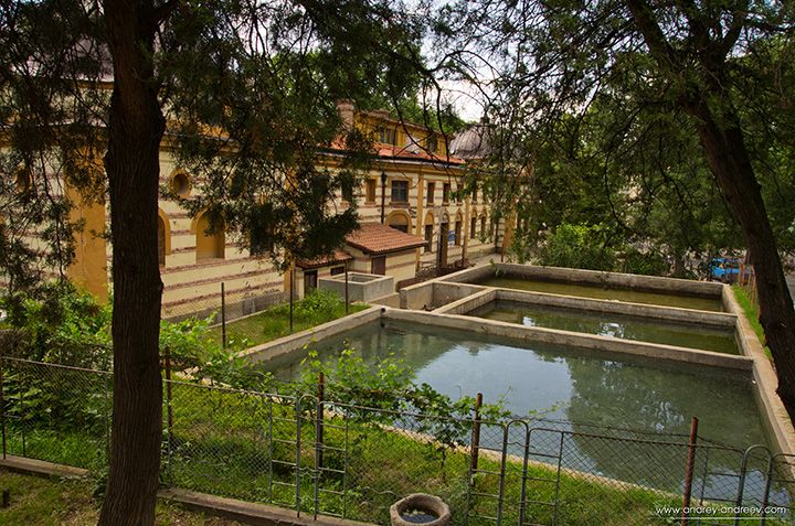 Минерални извори