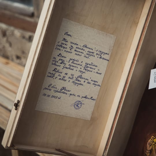 Дамска чанта „Светлина“, снимка 9