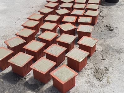 Ново издание на  БДС EN 206-1:2026