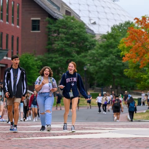 University of Connecticut, UCONN
