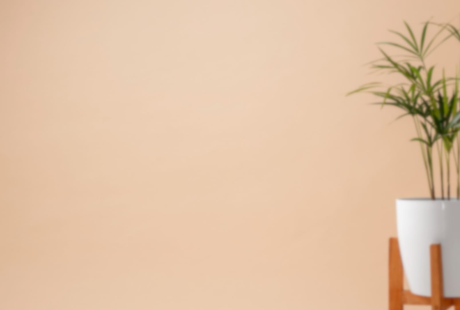 цвете и топъл фон