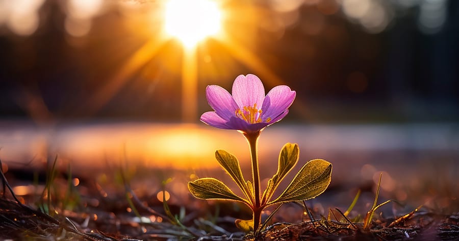 Скритите ползи от страданието – една лична истина