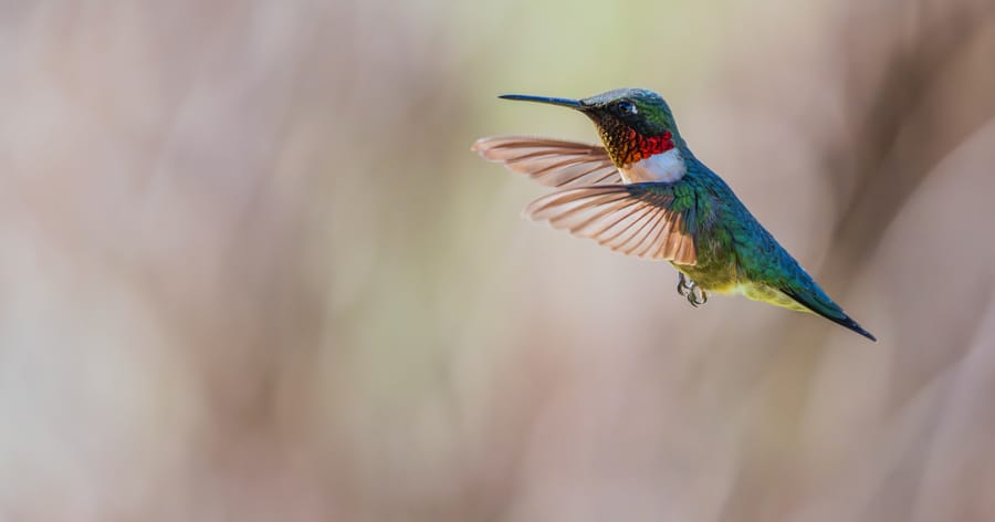 Ревността – между страха, любовта и свободата