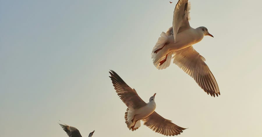  Отговорността – ключът към твоята сила и свобода