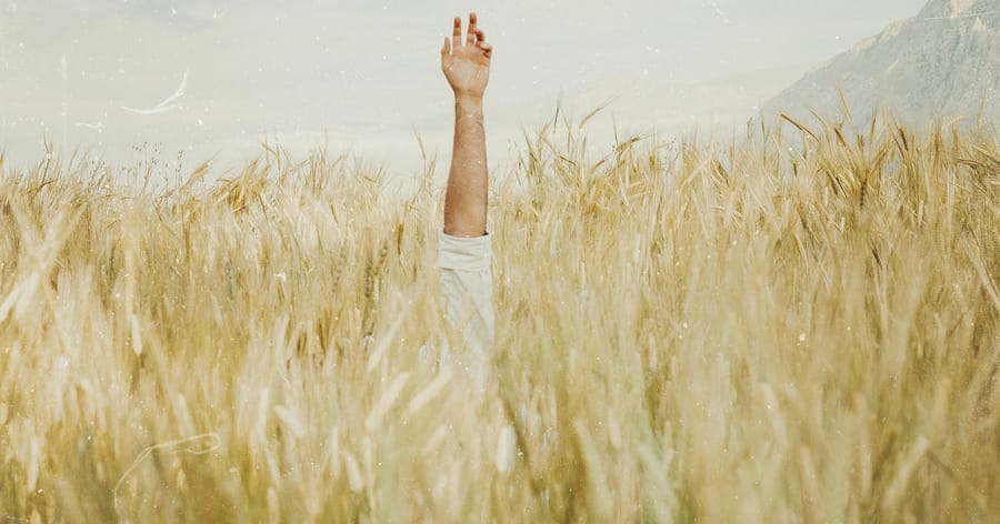 Историята на един млад и успял мъж, живеещ във вътрешна реалност на тревога и неуспех