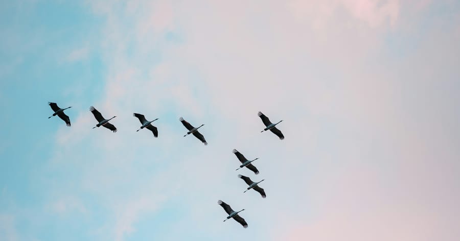 От надпреварата към присъствието: връщане към вътрешния ритъм на живота