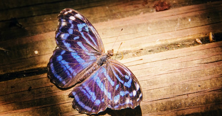 Цената на изменението и цената на съхранението