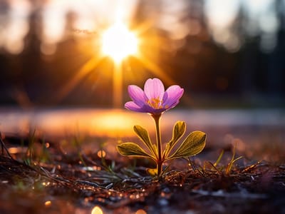 Скритите ползи от страданието – една лична истина