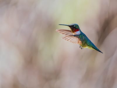 Ревността – между страха, любовта и свободата