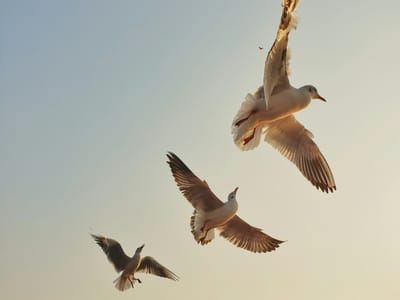  Отговорността – ключът към твоята сила и свобода